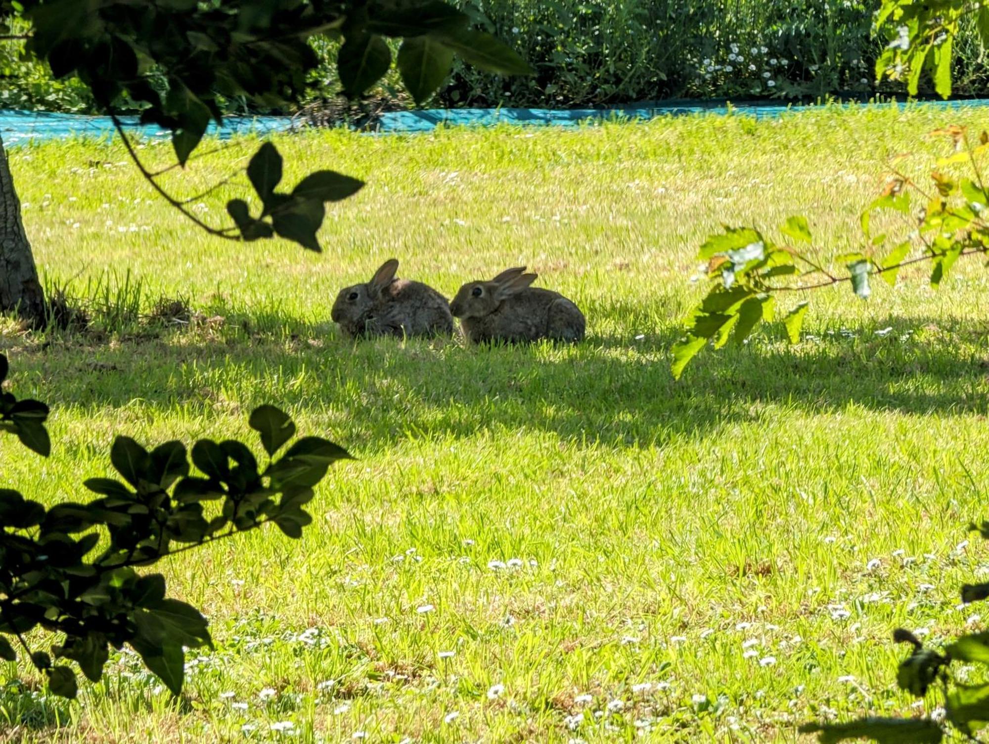 Le Relais Du Beffroi & Spa Saint-Riquier Εξωτερικό φωτογραφία