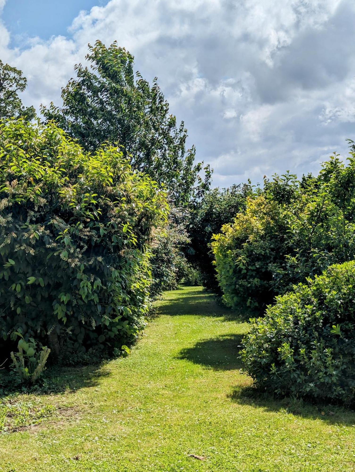 Le Relais Du Beffroi & Spa Saint-Riquier Εξωτερικό φωτογραφία