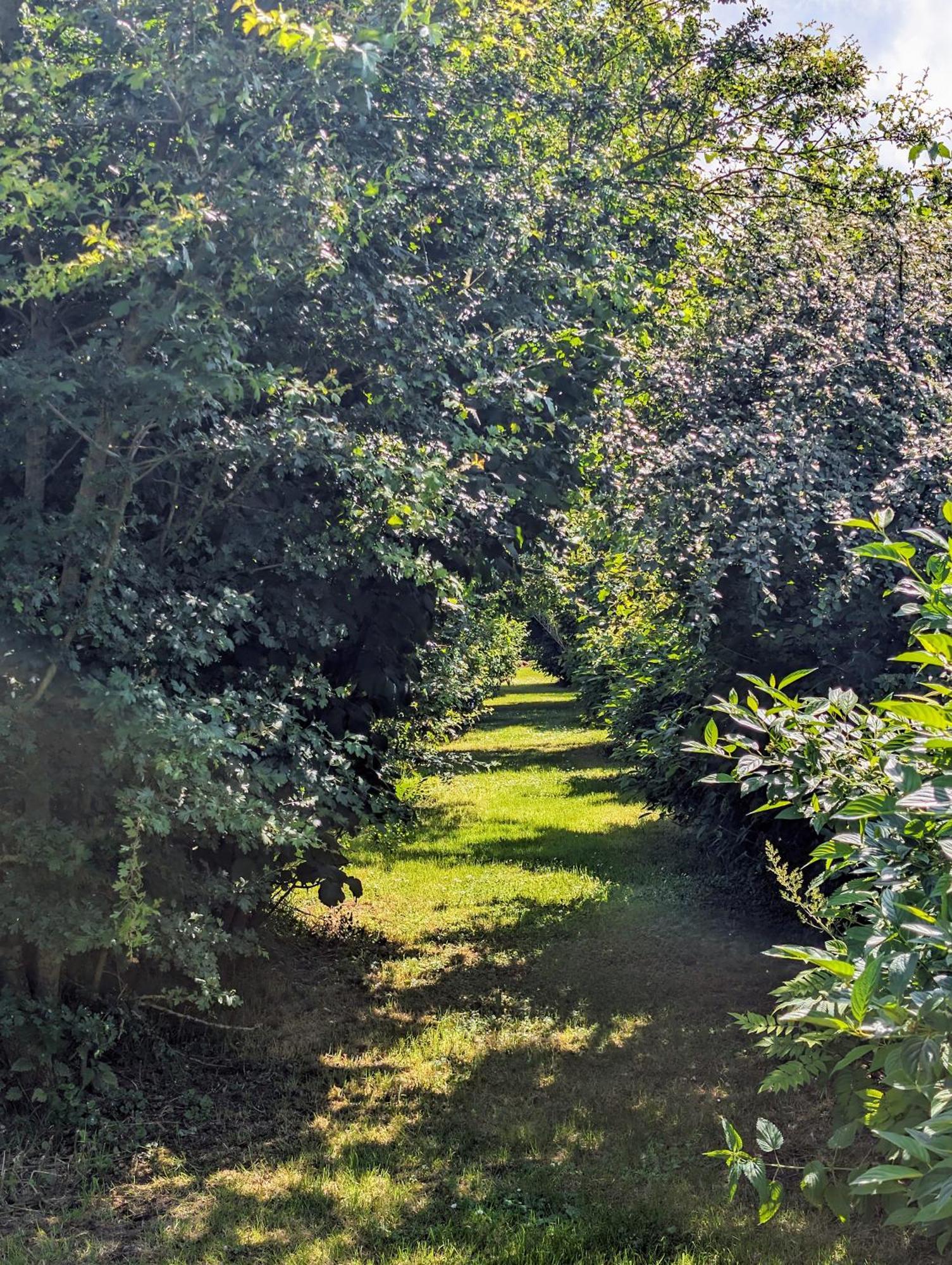 Le Relais Du Beffroi & Spa Saint-Riquier Εξωτερικό φωτογραφία